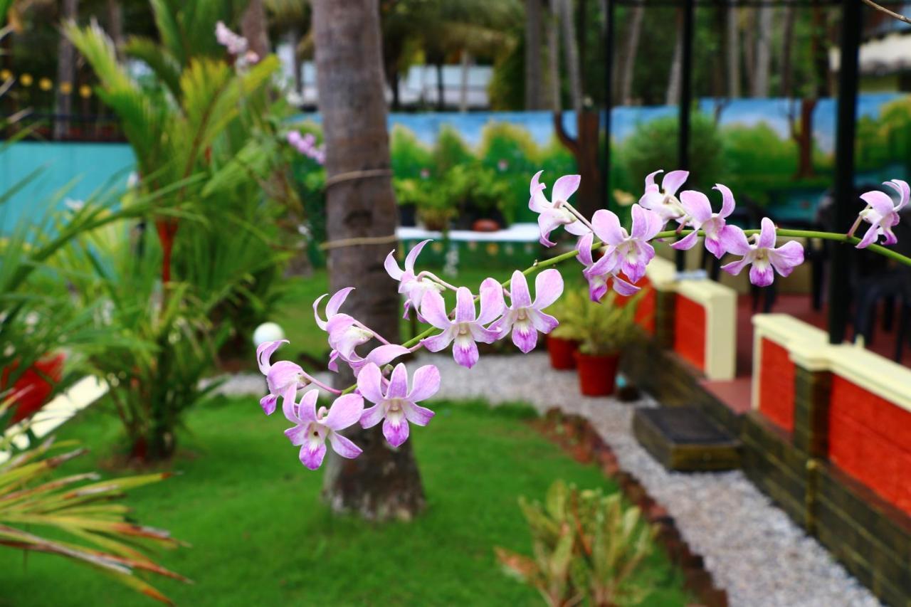 ורקלה Divine Bliss Beach Resort מראה חיצוני תמונה